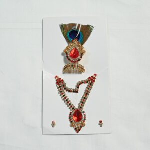 Krishna Shringar set